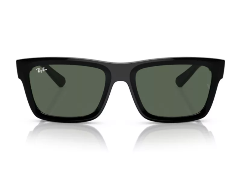 Ray-Ban Warren Sonnenbrille RB 4396 667771