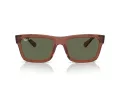Ray-Ban Warren Sonnenbrille RB 4396 66789A