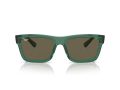 Ray-Ban Warren Sonnenbrille RB 0RB4396 6681/3