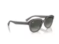 Ray-Ban Erik Sonnenbrille RB 0RB4398 667571 53
