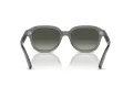 Ray-Ban Erik Sonnenbrille RB 0RB4398 667571 53