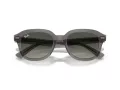 Ray-Ban Erik Sonnenbrille RB 0RB4398 667571 53