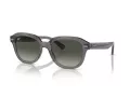 Ray-Ban Erik Sonnenbrille RB 0RB4398 667571 53