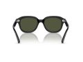 Ray-Ban Erik Sonnenbrille RB 0RB4398 901/31