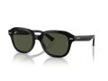 Ray-Ban Erik Sonnenbrille RB 0RB4398 901/31