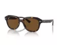 Ray-Ban Erik Sonnenbrille RB 0RB4398 902/57 51