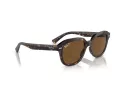 Ray-Ban Erik Sonnenbrille RB 0RB4398 902/57 51