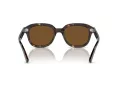 Ray-Ban Erik Sonnenbrille RB 0RB4398 902/57 51