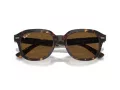 Ray-Ban Erik Sonnenbrille RB 0RB4398 902/57 51