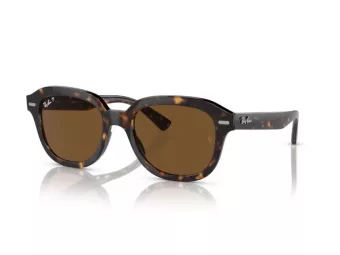 Ray-Ban Erik Sonnenbrille RB 0RB4398 902/57 53