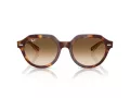 Ray-Ban Gina Sonnenbrille RB 4399 141451 53
