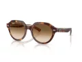 Ray-Ban Gina Sonnenbrille RB 4399 141451 53