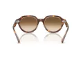 Ray-Ban Gina Sonnenbrille RB 4399 141451 53