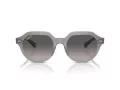 Ray-Ban Gina Sonnenbrille RB 0RB4399 6429M3 53