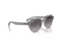 Ray-Ban Gina Sonnenbrille RB 0RB4399 6429M3 53