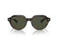 Ray-Ban Gina Sonnenbrille RB 0RB4399 902/31