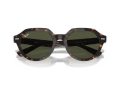Ray-Ban Gina Sonnenbrille RB 0RB4399 902/31