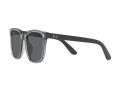 Ray-Ban Sonnenbrille RB 4401D 659981