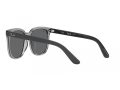 Ray-Ban Sonnenbrille RB 4401D 659981