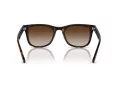 Ray-Ban Sonnenbrille RB 4420 710/13