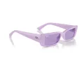 Ray-Ban Teru Sonnenbrille RB 4425 67581A