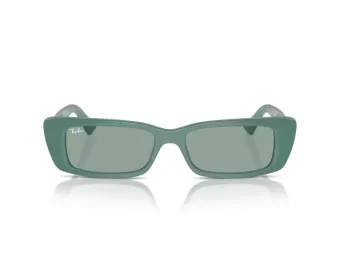 Ray-Ban Teru Sonnenbrille RB 4425 676282