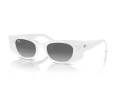 Ray-Ban Kat Sonnenbrille RB 4427 675911