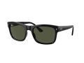 Ray-Ban Sonnenbrille RB 0RB4428 601/31