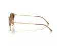 Ray-Ban Sonnenbrille RB 0RB4429 672151