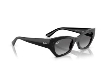 Ray-Ban Zena Sonnenbrille RB 4430 667711