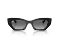 Ray-Ban Zena Sonnenbrille RB 4430 667711