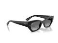 Ray-Ban Zena Sonnenbrille RB 4430 667711