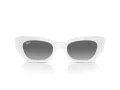 Ray-Ban Zena Sonnenbrille RB 4430 675911 49