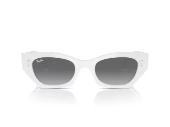 Ray-Ban Zena Sonnenbrille RB 4430 675911 49