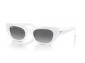 Ray-Ban Zena Sonnenbrille RB 4430 675911