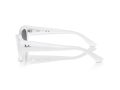 Ray-Ban Zena Sonnenbrille RB 4430 675911
