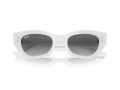 Ray-Ban Zena Sonnenbrille RB 4430 675911