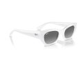 Ray-Ban Zena Sonnenbrille RB 4430 675911