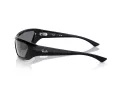 Ray-Ban Xan Sonnenbrille RB 4431 66776V