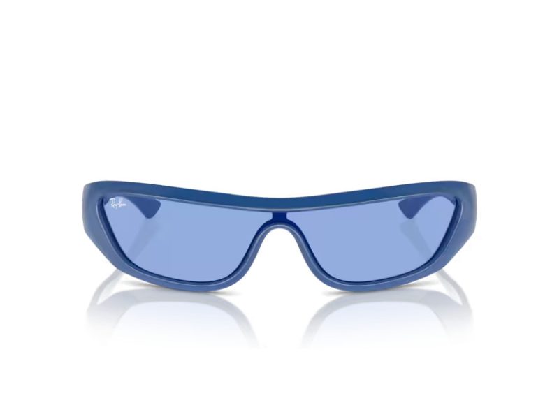 Ray-Ban Xan Sonnenbrille RB 4431 676180