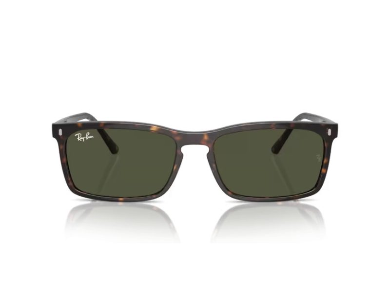 Ray-Ban Sonnenbrille RB 4435 902/31