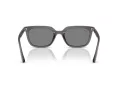 Ray-Ban Sonnenbrille RB 4439D 667587