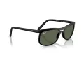 Ray-Ban Sonnenbrille RB 4452 601S71 59
