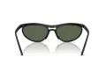 Ray-Ban Sonnenbrille RB 4453 601S71