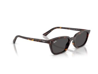 Ray-Ban Zaya Sonnenbrille RB 4456 135987