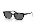 Ray-Ban Zaya Sonnenbrille RB 4456 667781