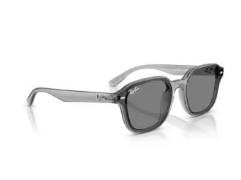 Ray-Ban Sonnenbrille RB 4458D 645087