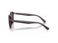 Ray-Ban Sonnenbrille RB 4459D 623173