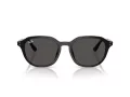 Ray-Ban Sonnenbrille RB 4459D 901/87