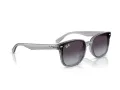 Ray-Ban Sonnenbrille RB 4461D 64508G